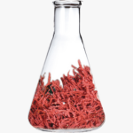 BIO-EXTENDER